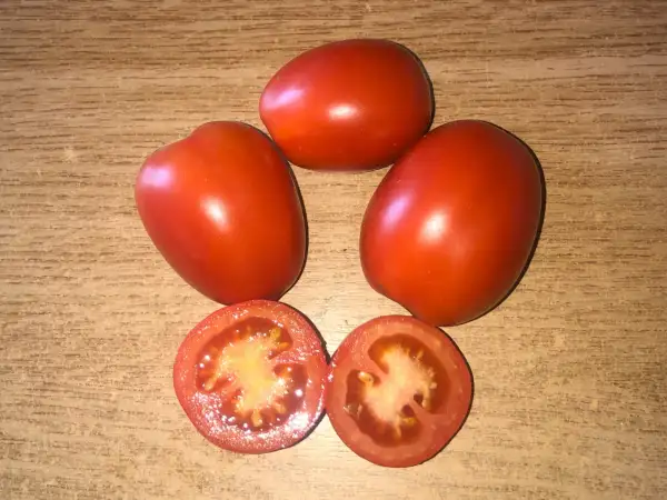 Tomaten: Quadro