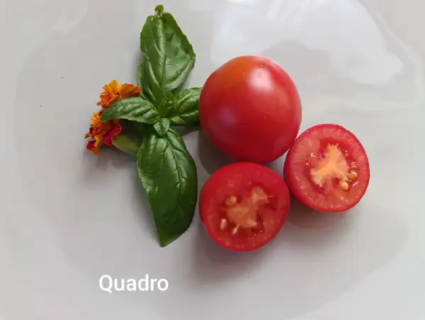 Tomaten: Quadro