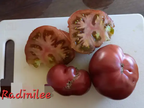 Tomaten: Radinilee