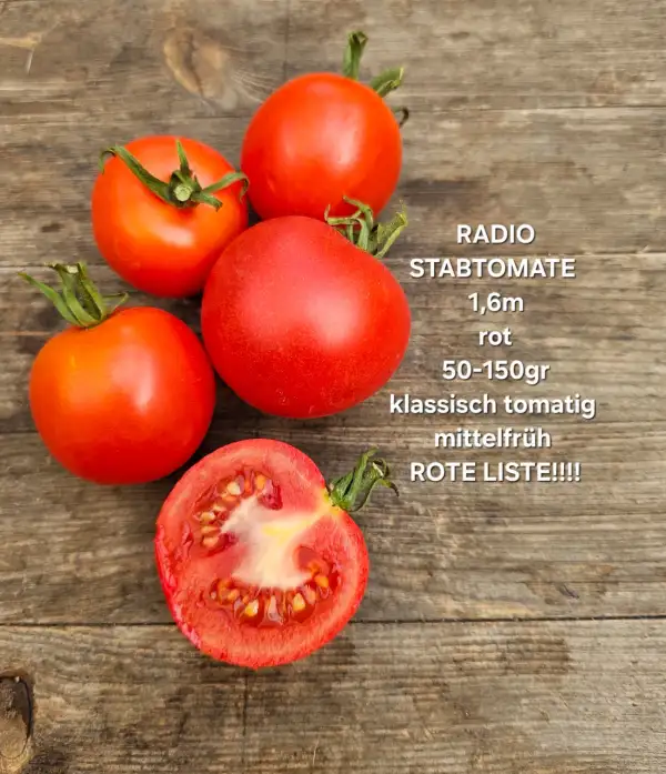 Tomaten: Radio