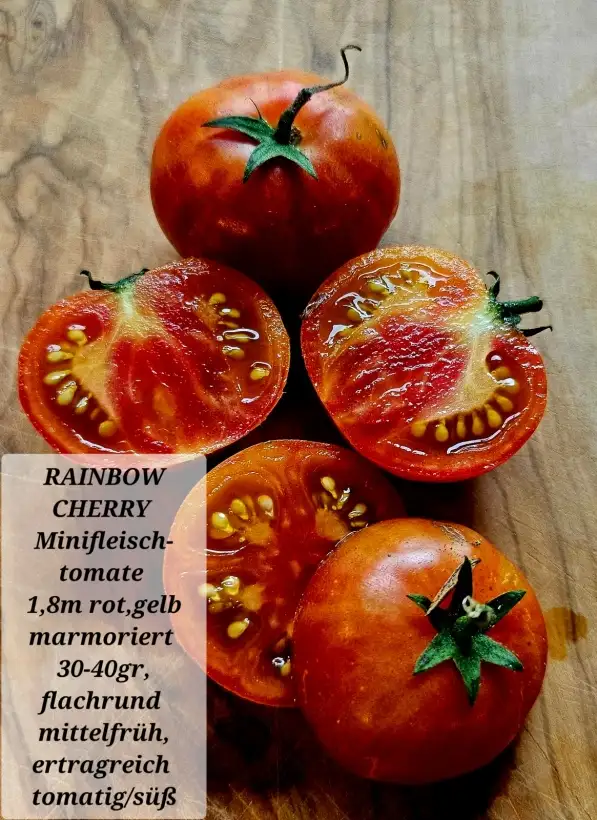 Tomaten: Rainbow Cherry