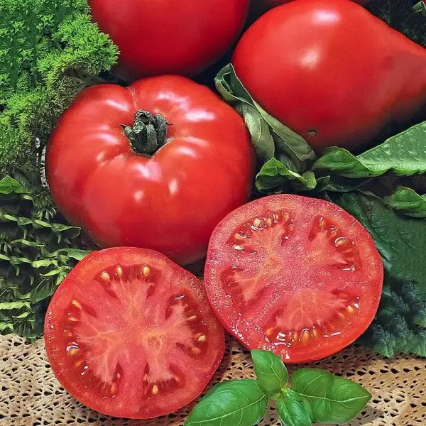 Tomaten: Raiskoe Nasloschdenie - Райское Наслождение