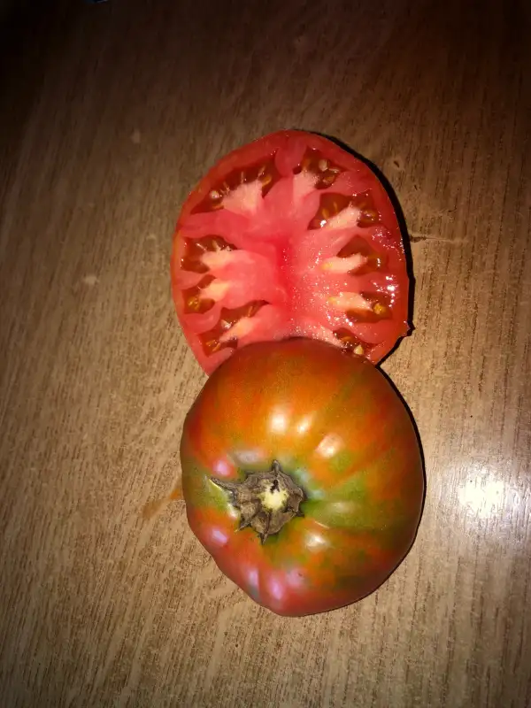 Tomaten: Ram de Gerri de Almacellas