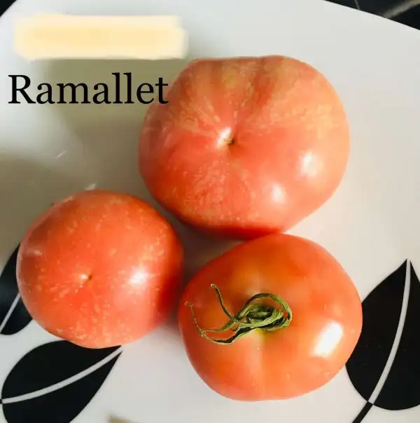 Tomaten: Ramellet