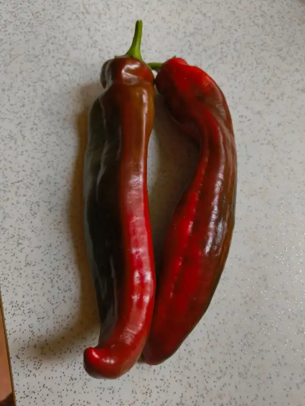 Chili / Paprika: Ramiro