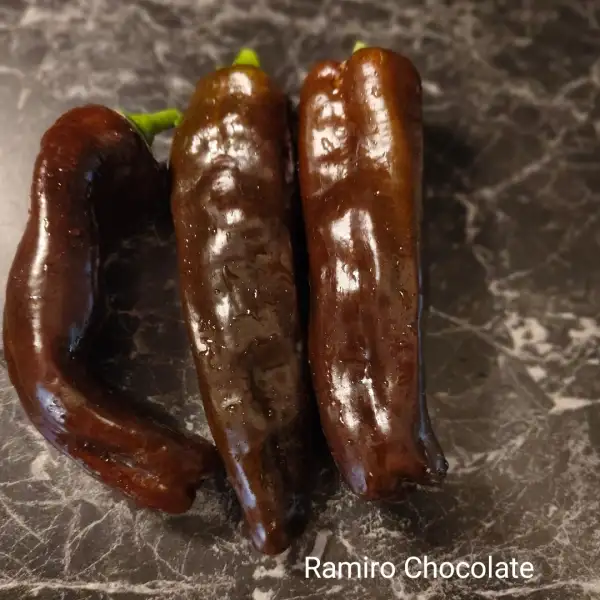 Chili / Paprika: Ramiro Chocolate Paprika