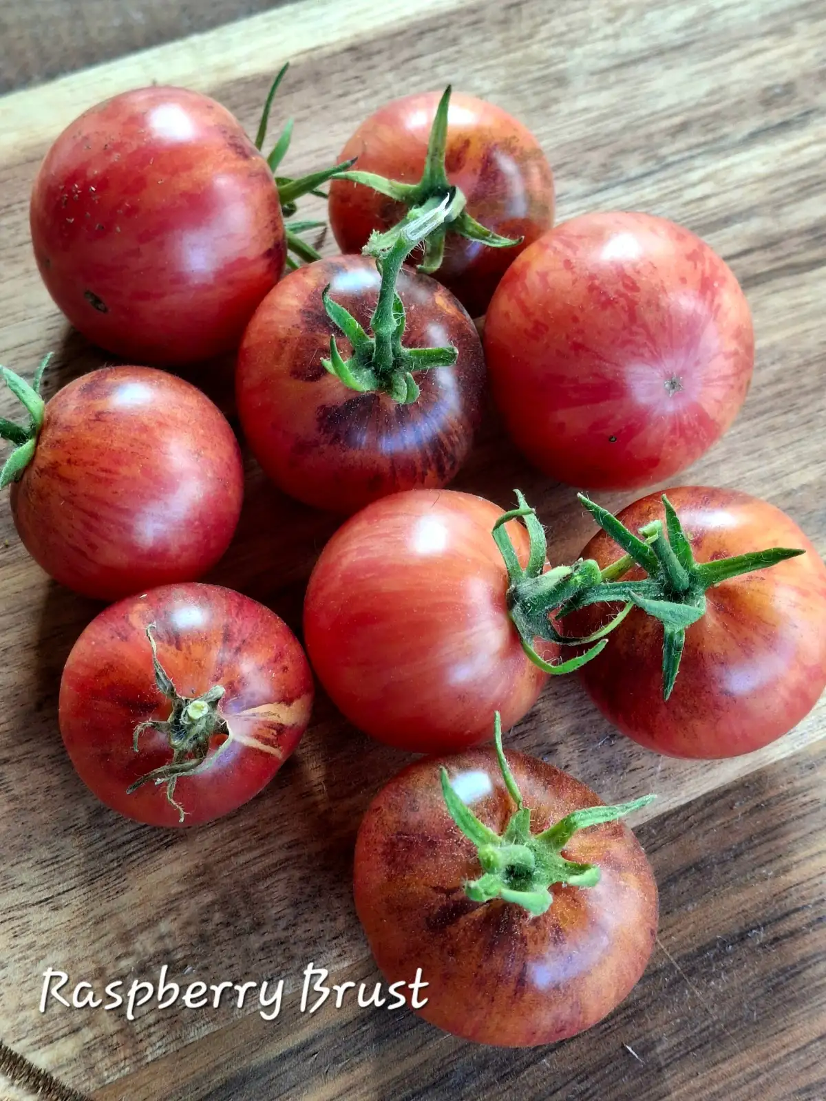 Tomaten: Raspberry Brust (dwarf)