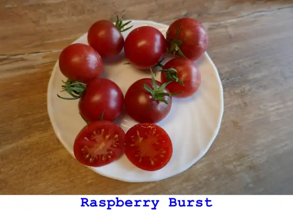 Tomaten: Raspberry Burst
