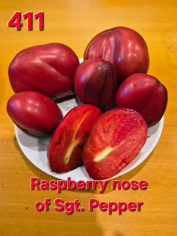 Tomaten: Raspberry nose of Sgt. Pepper