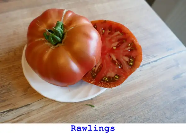 Tomaten: Rawlings