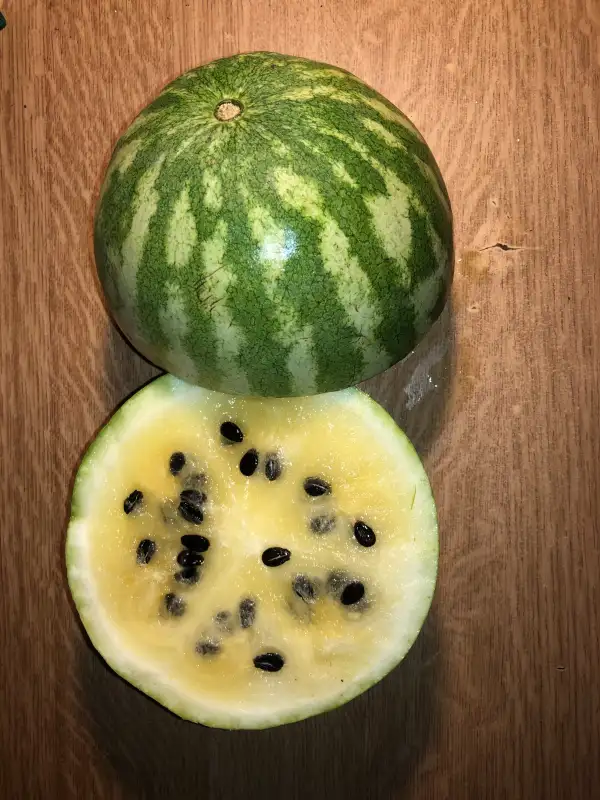 Obst: Rayada de Azutan wassermelone