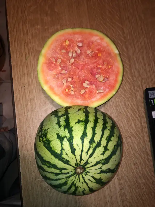 Obst: Rayada de Cinta / Wassermelone