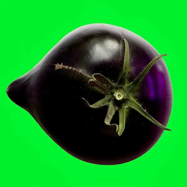 Tomaten: Rebel Starfighter