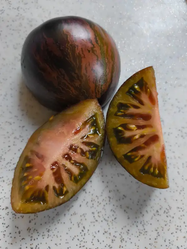 Tomaten: Rebel Starfighter Prime