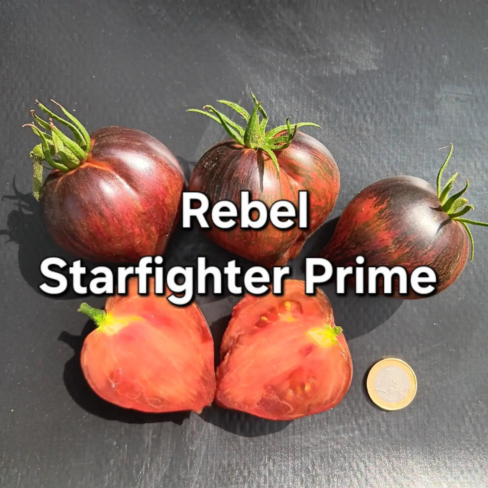 Tomaten: Rebel Starfighter Prime