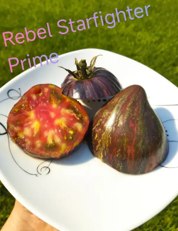 Tomaten: Rebel Starfighter Prime