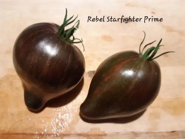 Tomaten: Rebel Starfighter Prime