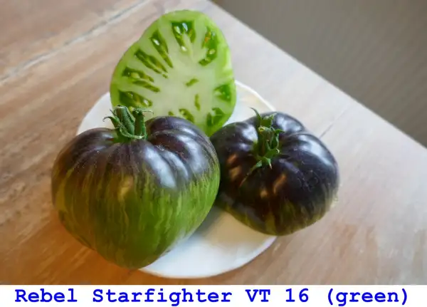 Tomaten: Rebel Starfighter VT 16