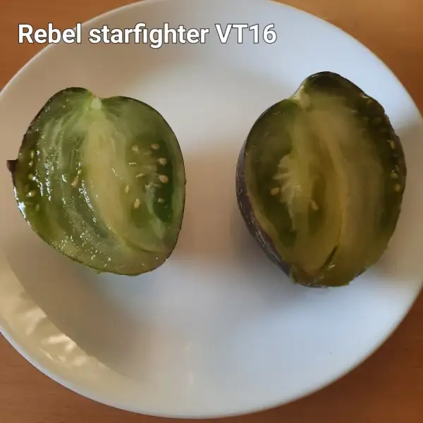 Tomaten: Rebel Starfighter VT16