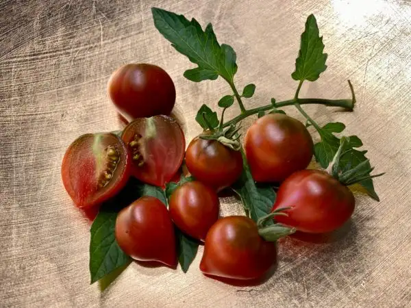 Tomaten: Rebell Alliance