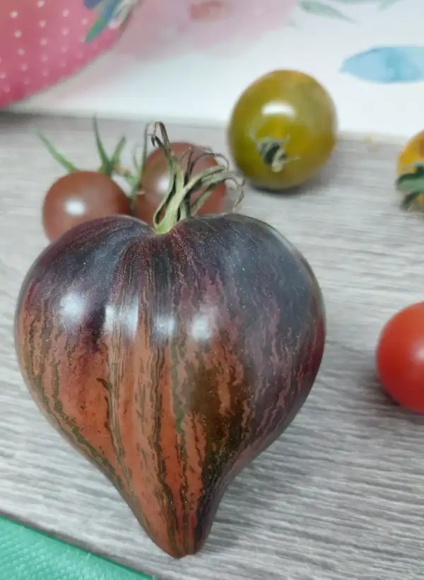 Tomaten: Rebell Starfighter Prime