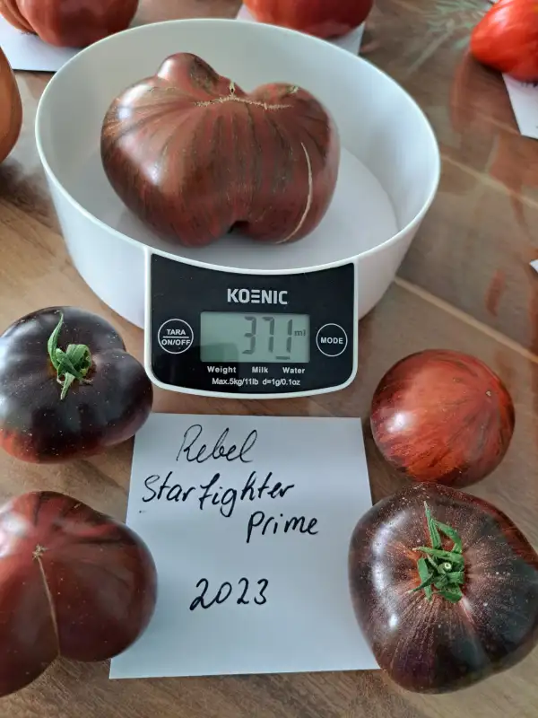 Tomaten: Rebell Starfighter Prime