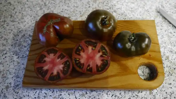 Tomaten: Rebella