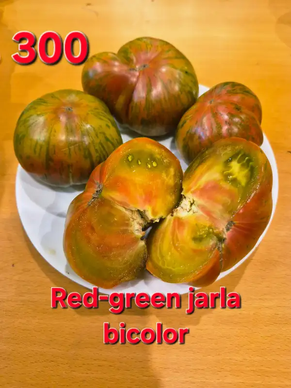 Tomaten: Red - green jarla bicolor