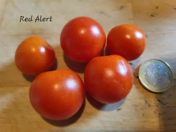 Tomaten: Red Alert
