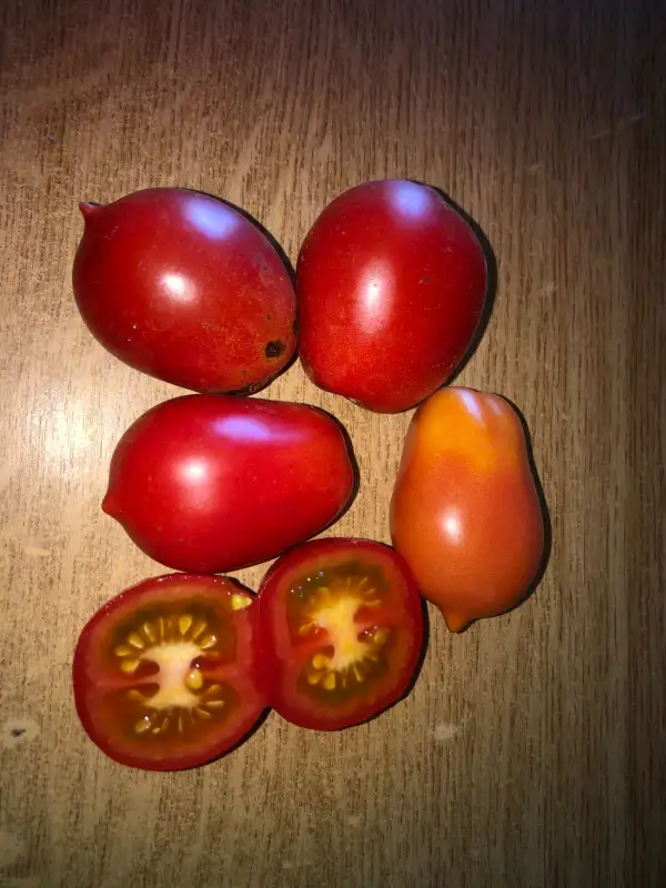 Tomaten: Red Alert (Ireland)