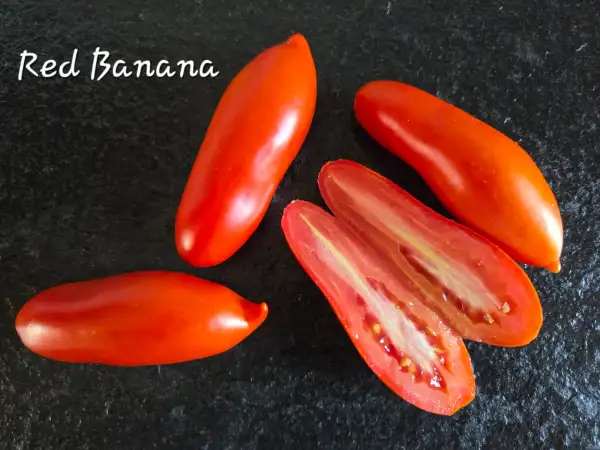 Tomaten: Red Banana