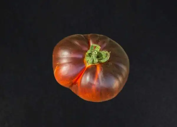 Tomaten: Red Beauty