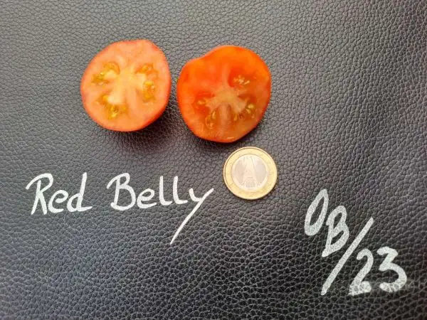 Tomaten: Red Belly