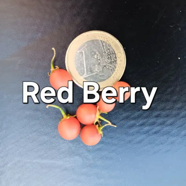 Beeren: Red Berry