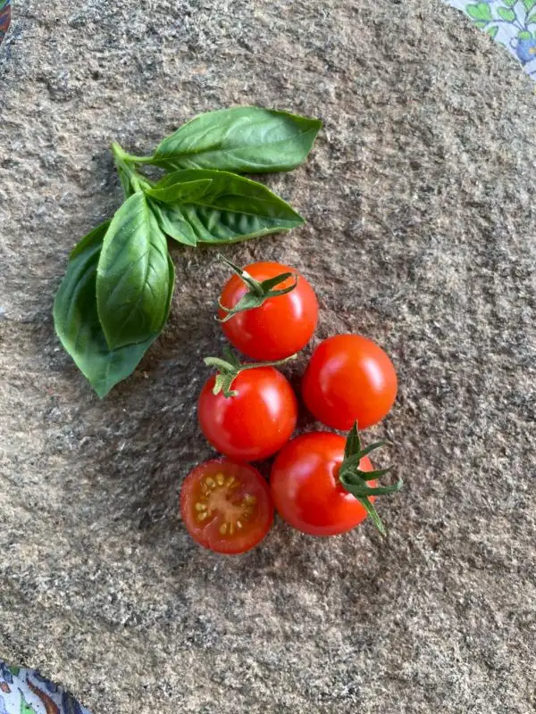 Tomaten: Red Cherry