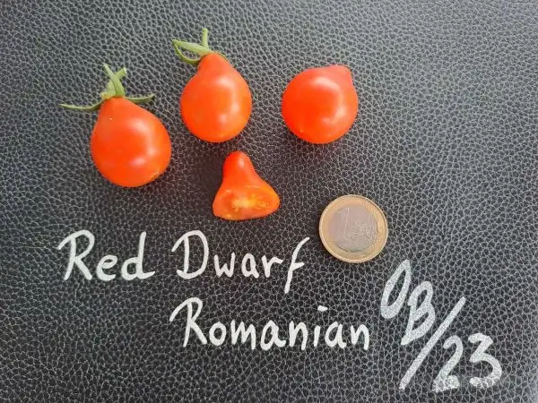 Tomaten: Red DW. Romanian