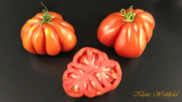 Tomaten: Red Pear - Ochsenherz