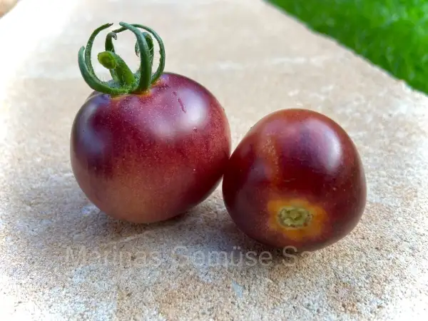 Tomaten: Red Princess (Kreuzung aus Dark Galaxy und Black Strawberry F1)