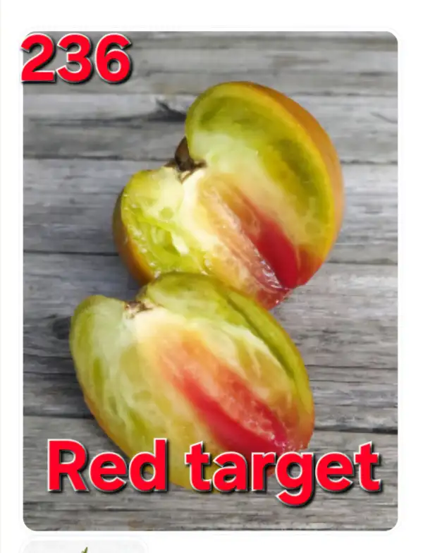 Tomaten: Red target