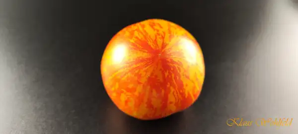 Tomaten: Red Zebra