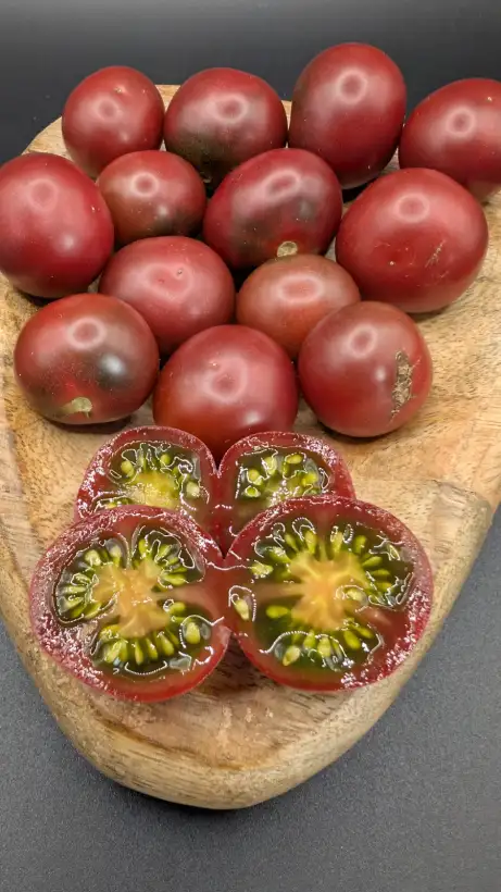Tomaten: Reinhard