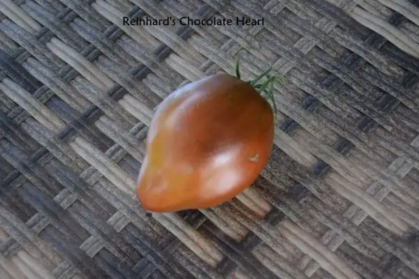 Tomaten: Reinhards Chocolate Heart