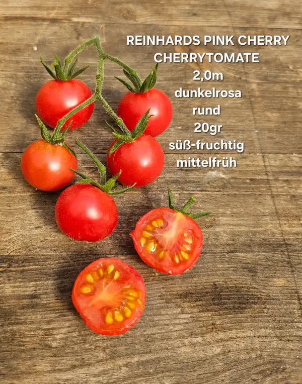 Tomaten: Reinhards Pink Cherry