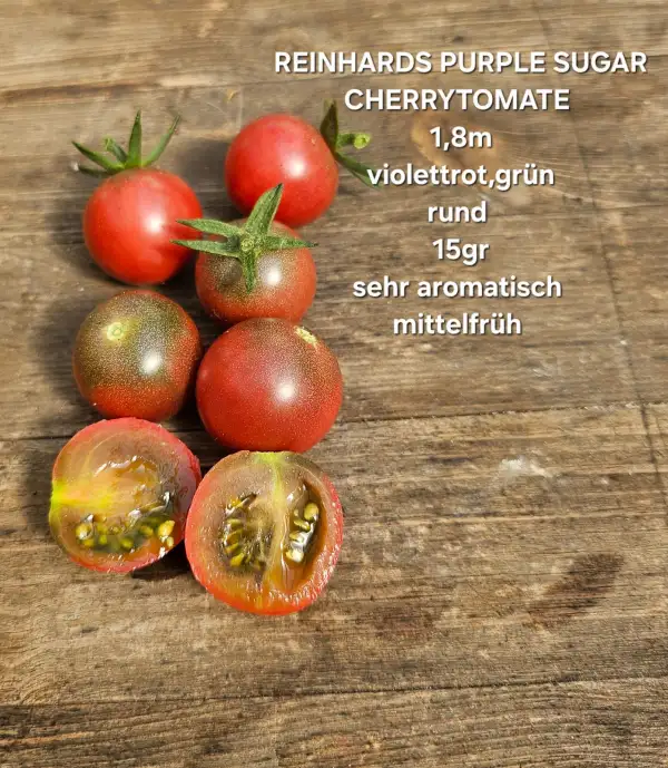 Tomaten: Reinhards Purple Sugar
