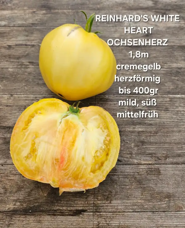 Tomaten: Reinhards White Heart