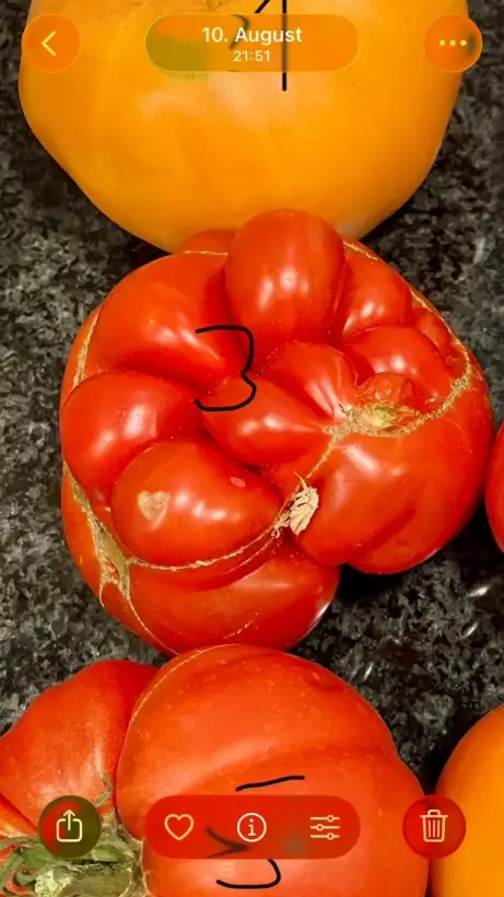 Tomaten: Reisetomate