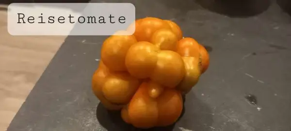 Tomaten: Reisetomate