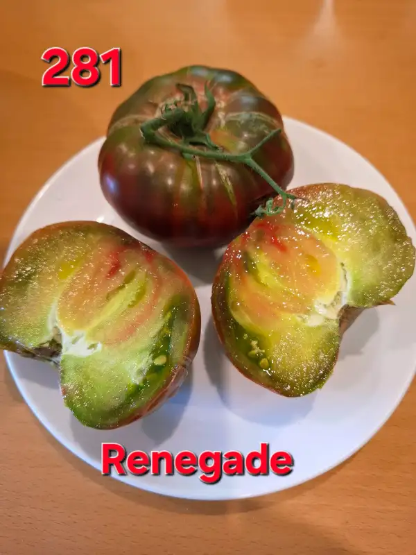 Tomaten: Renegade