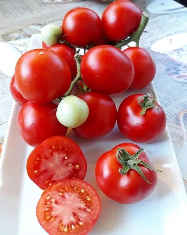 Tomaten: Renet
