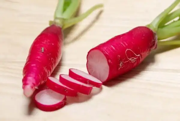 andere Gemüse: Rettich Ostergruß Rosa 2